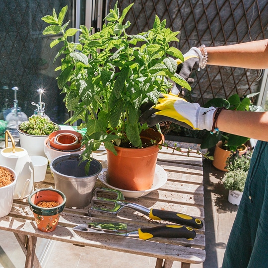 Balkontuinieren – Tover uw balkon om tot een groene oase! Ontdek onze beste tuintips – voor open of beglaasde balkons. Balco B.V.